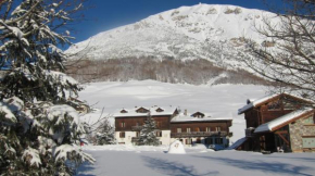 Гостиница Chalet Del Sole, Ливиньо